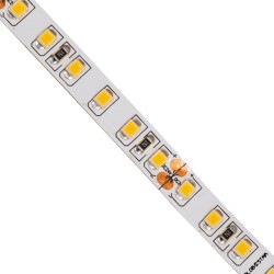 GLOBOSTAR® LUXA 70232 Ταινία LED 8W/m 880lm/m 120° DC 24V IP20 120 x SMD2835 Chip/m Θερμό Λευκό 2700K Dimmable - Sanan SMD Chip 