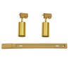 GLOBOSTAR® LEO 60358 Μοντέρνο Φωτιστικό Οροφής με Ντουί 2 x GU10 AC 220-240V IP20 - Χρυσό Πλατίνα - Μ50.5 x Π6 x Υ20cm