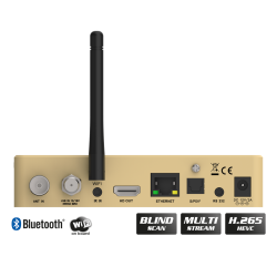 OS NINO PRO S2X + T2/C Gold