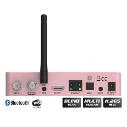 OS NINO PRO S2X + T2/C Rose Gold