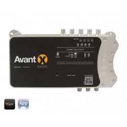 AVANT X BASIC 532101
